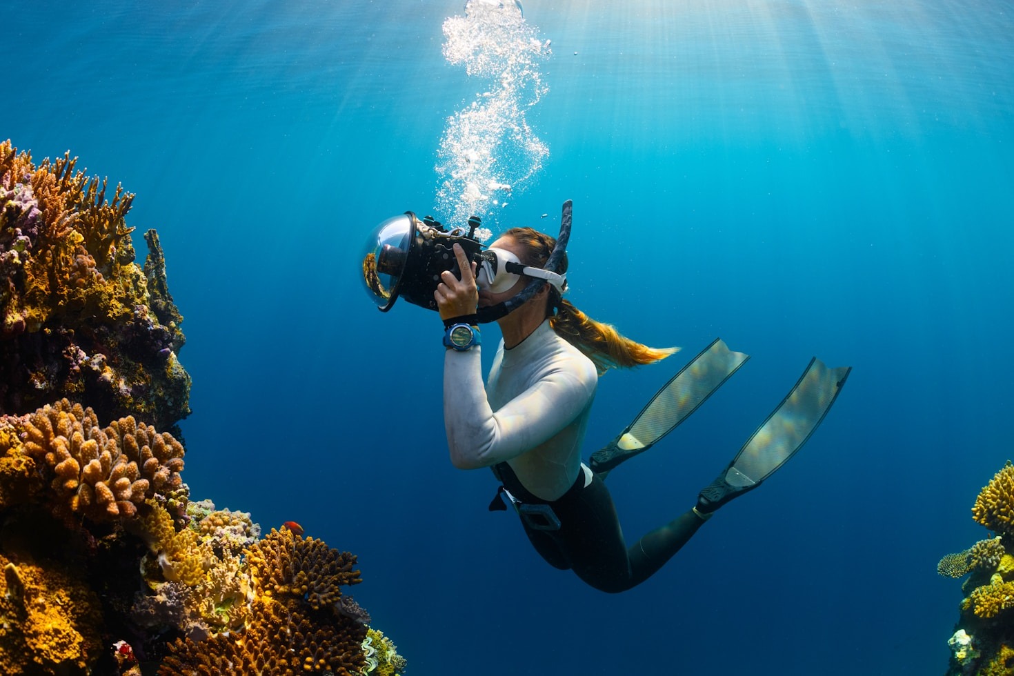 Exploring the Seas: A Beginner’s Guide